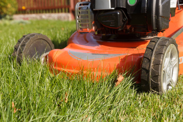 red lawn mower - Photo, Image