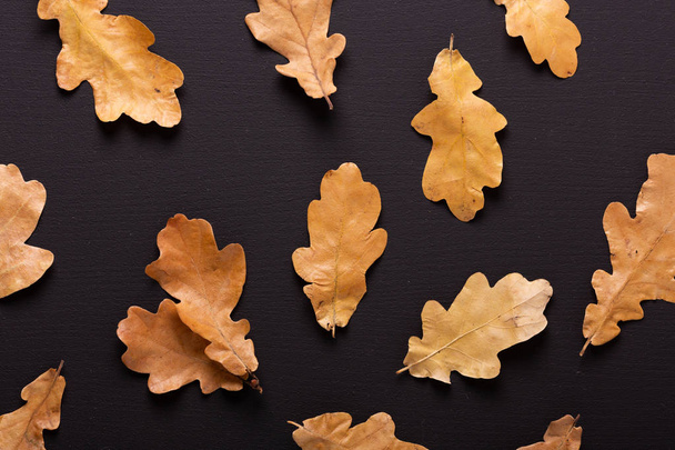 Autumn background. Dry oak leaves on black table. Top view. Flat lay. - Фото, зображення