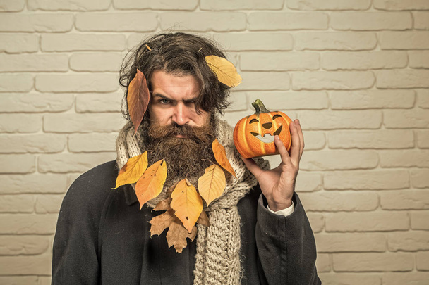 Halloween hipster with yellow leaves in beard hair - 写真・画像
