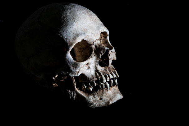 Human skeleton skull head isolated on black - Foto, imagen