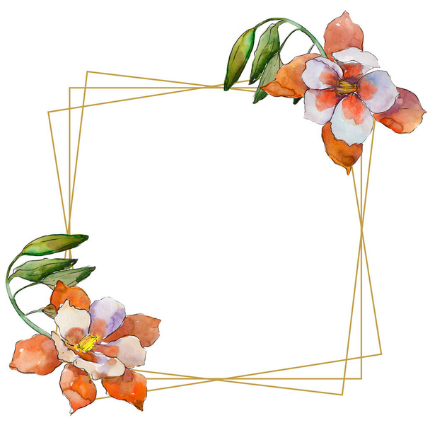 Watercolor colorful aquilegia flower. Floral botanical flower. Frame border ornament square. Aquarelle wildflower for background, texture, wrapper pattern, frame or border. - 写真・画像