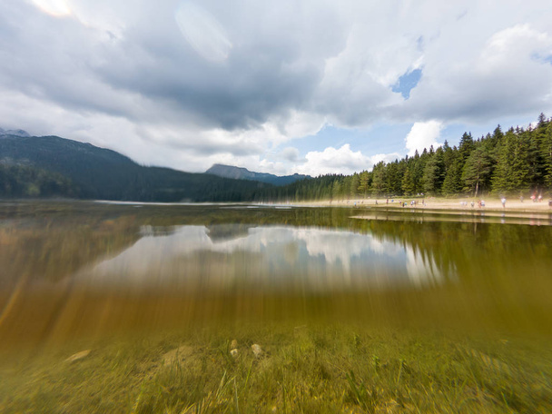 Lac de forêt cristallin entouré de pins
. - Photo, image