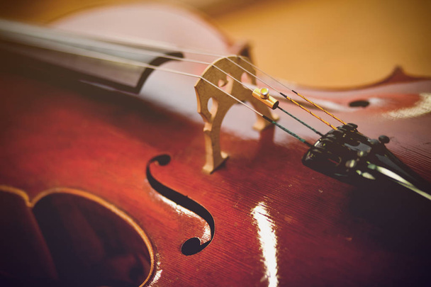 close up of violoncello instrument  - Foto, afbeelding