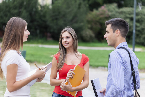 Portrait of students talking in a park - Фото, изображение