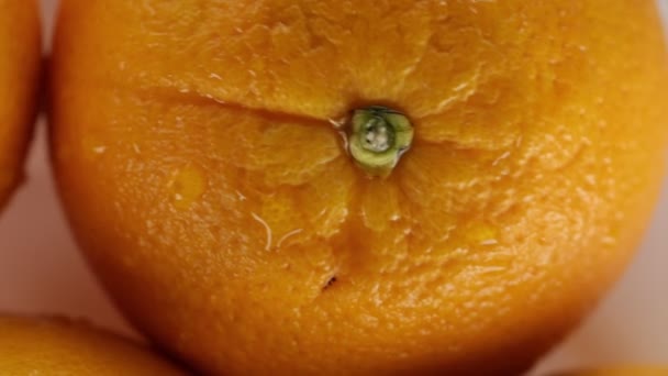 Bio Oranges for juice - Footage, Video