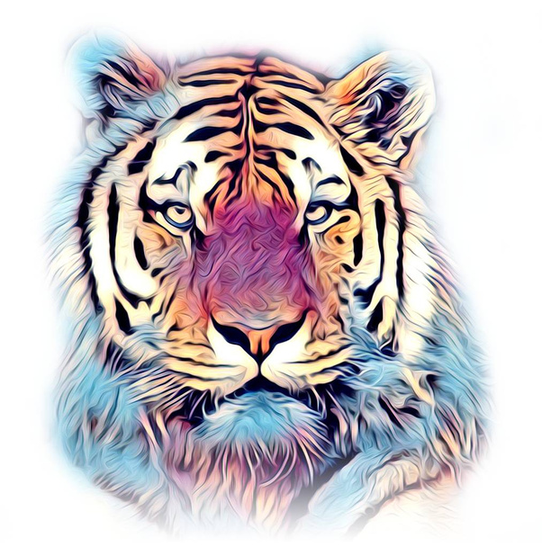 tigre arte ilustração cor
 - Foto, Imagem