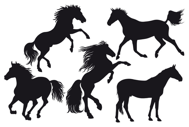 Konie - Wektor, obraz