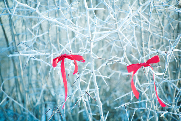 Árbol en la nieve con cinta roja
 - Foto, Imagen
