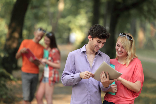 couple of students with a clipboard discussing exam questions standing in the Park - Foto, immagini