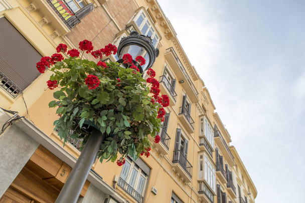 Detail of lamp post and floral ornament with classic architecture and building in the background, at Larios Street, Malaga, Spain. - Foto, imagen