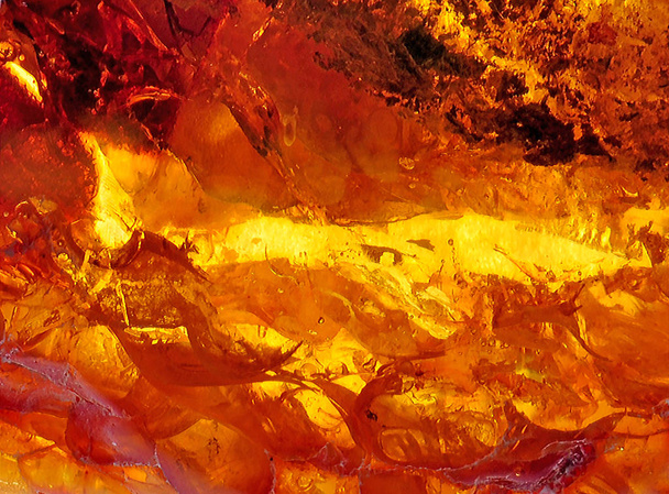 Baltic amber, resin segments, fossil millions of years - Fotografie, Obrázek