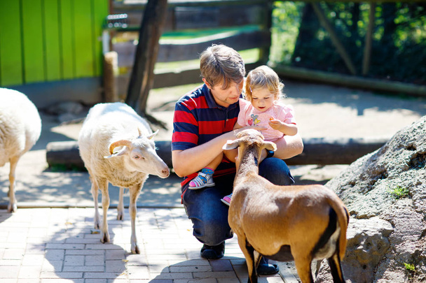 Adorable cute toddler girl and young father feeding little goats and sheeps on a kids farm. Beautiful baby child petting animals in the zoo. man and daughter together - Foto, imagen