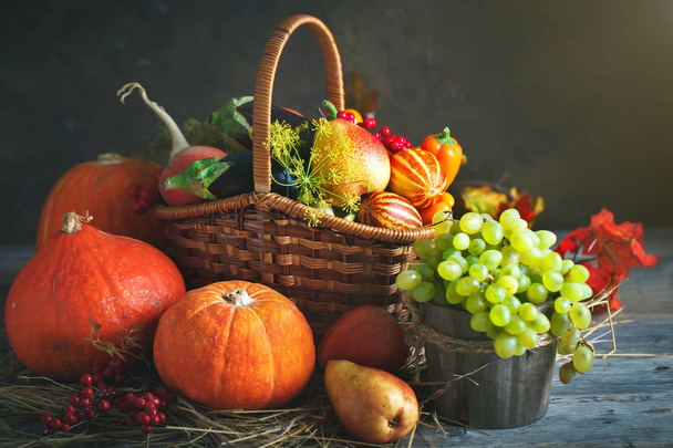 Happy Thanksgiving Day background, wooden table decorated with Pumpkins, Maize, fruits and autumn leaves. Harvest festival. Selective focus. Horizontal. - Fotografie, Obrázek