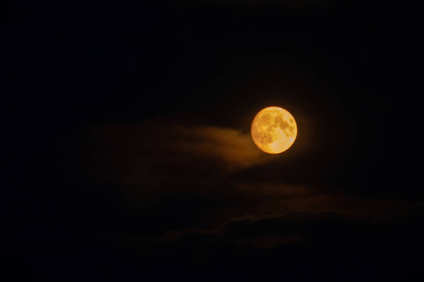 Full bright moon on dark sky background - Foto, immagini