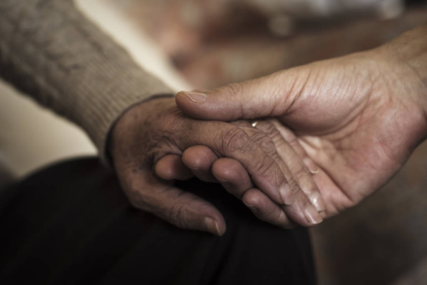 closeup of a young caucasian man holding the hand of an old caucasian woman with affection - Photo, Image