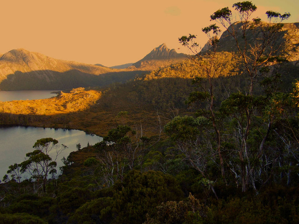 Nel tardo pomeriggio nel Cradle Mountain National Park, Tasmania Australia
. - Foto, immagini
