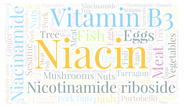 Niacin horizontal word cloud. - Photo, Image