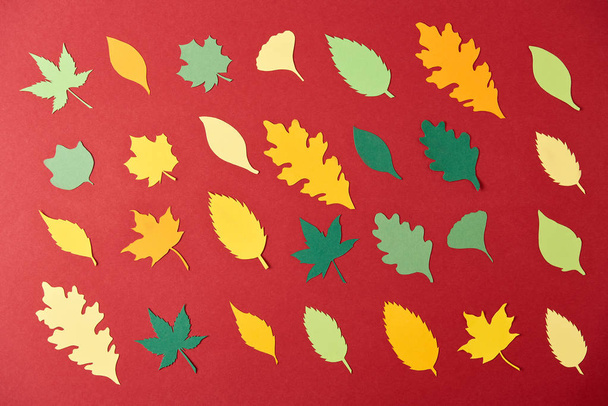 flat lay with colorful papercrafted leaves arrangement on red background - Фото, зображення