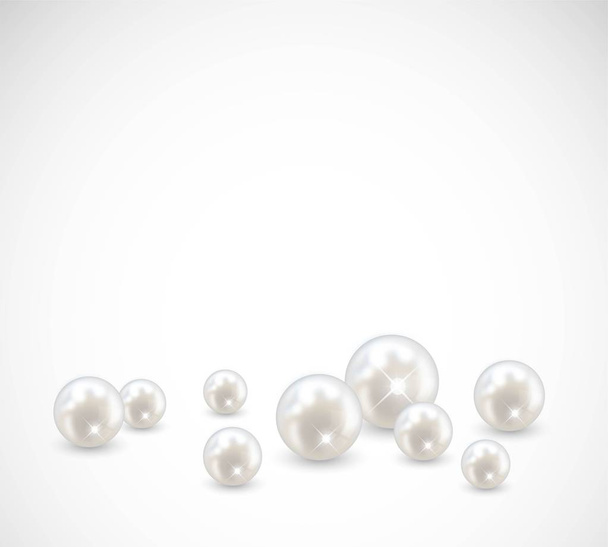 Beautiful realistic pearl set illustration vector  - Vector, Image
