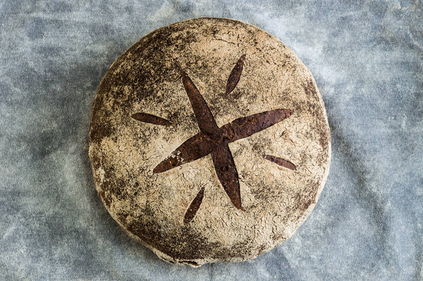 Vers zelfgemaakt brood op een grijze achtergrond. Knapperig. Frans brood. Brood bij de zuurdesem. Ongezuurd brood - Foto, afbeelding