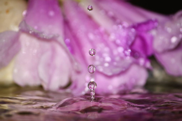 όμορφη σταγόνα φρέσκο νερό φρέσκο χαρακτήρα σε φόντο - Φωτογραφία, εικόνα