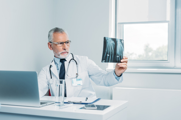 концентрированный зрелый врач мужского пола анализирует рентгеновские снимки за столом в офисе
  - Фото, изображение