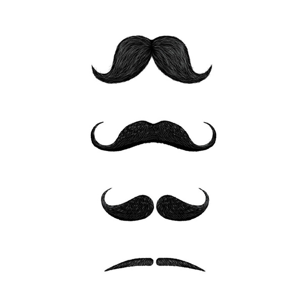 Set of different styles of mustache isolated on white background. Walrus, english, handlebar, pencil style mustache . - Vector, Image
