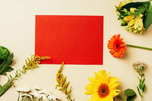 top view of empty red banner and arranged flowers on beige backdrop - Foto, imagen