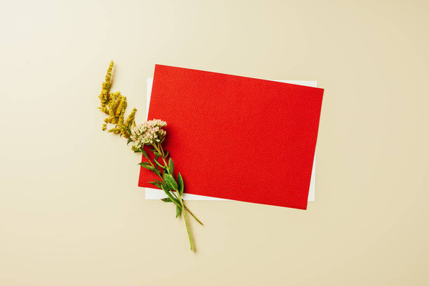 flat lay with arrangement of red and white blank cards and wildflowers on beige backdrop - Fotografie, Obrázek