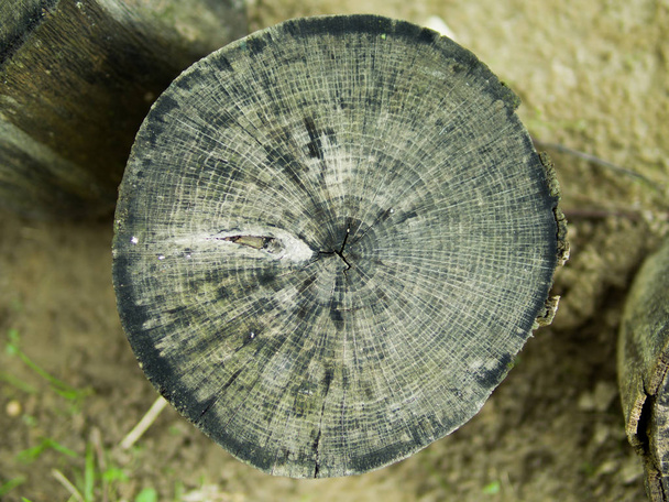 textura de madera vieja para el fondo - Foto, imagen