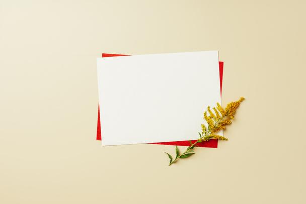 flat lay with arrangement of red and white blank cards and beautiful wildflower on beige backdrop - Fotografie, Obrázek