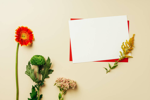 flat lay with arrangement of red and white blank cards and beautiful flowers on beige backdrop - Photo, Image