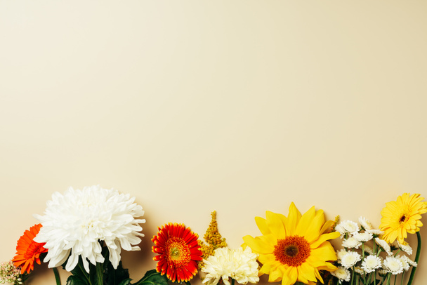 flat lay with various beautiful flowers arrangement on beige background - Photo, Image