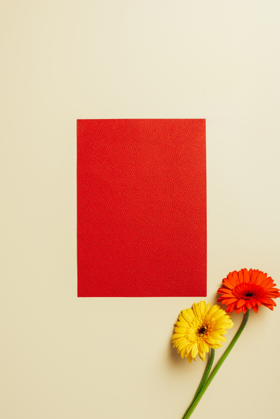 top view of red blank card and gerbera flowers on beige backdrop - Fotó, kép