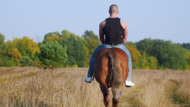 Ένα ισχυρό άτομο με ένα ισχυρό όργανο σε ένα μαύρο t-shirt και τζιν παντελόνι βόλτες με ένα άλογο που κινείται μακριά από την κάμερα - Πλάνα, βίντεο