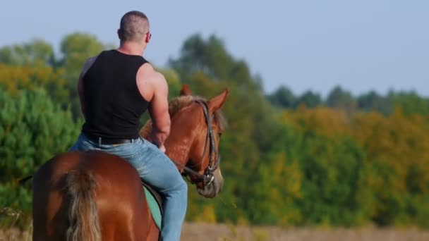 Ισχυρή μυώδης άνδρας σε μαύρο μπλουζάκι και γυαλιά ιππασίας ένα άλογο σε ένα πεδίο, απομακρυνόμενη από τη φωτογραφική μηχανή - Πλάνα, βίντεο