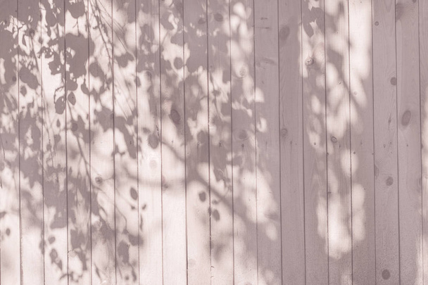 Shadow of trunk and leaves on a  pink,  wooden wall for wood texture background. - Fotó, kép