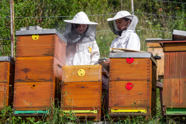 白いスーツとハチの巣の養蜂家 - 写真・画像
