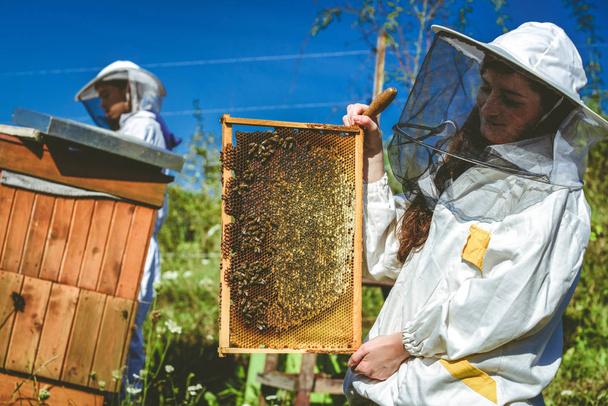 O strukturze plastra miodu, z miodem i pszczoły. Pszczelarstwo - Zdjęcie, obraz