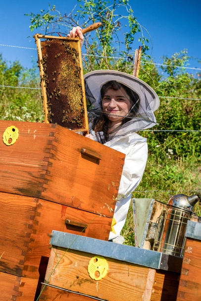 Beekeepeer gazdaság egy keret a honeycomb és a méhek - Fotó, kép