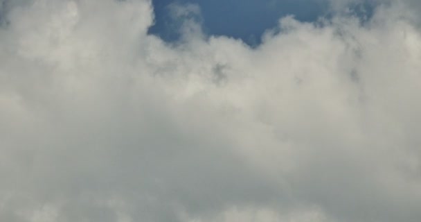 4k panoraama valkoinen altocumulus pilvet lentävät sininen taivas
. - Materiaali, video