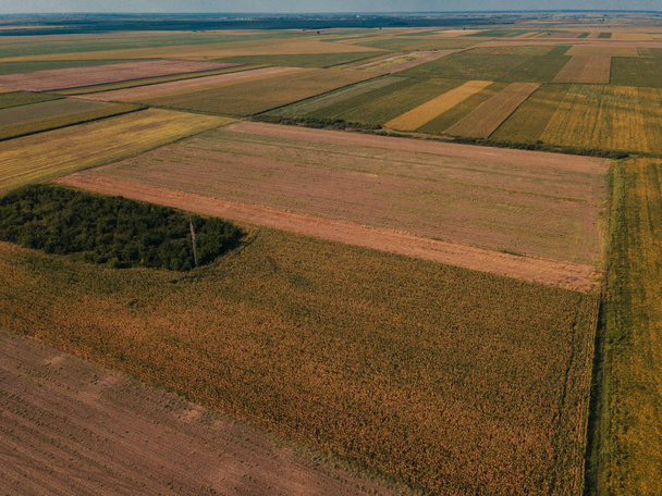 Drone photography of cultivated fields in summer, plain countryside landscape from high angle view - Valokuva, kuva