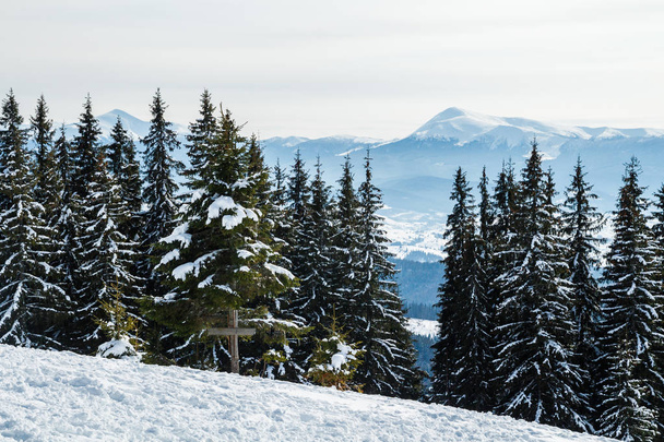 Bukovel en invierno. Picos de montaña nevados. Cárpatos ucranianos.Monte Hoverla
. - Foto, imagen