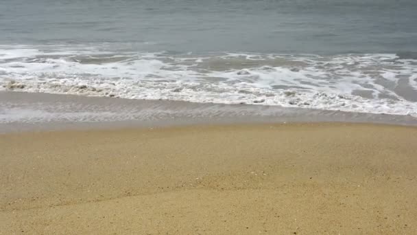 Fala na plaży Indian - Materiał filmowy, wideo