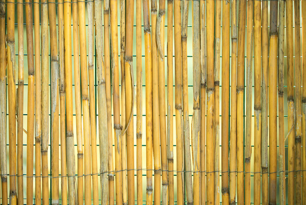 Arella tijd in cannette di bamboe - Foto, afbeelding