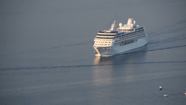Cruiseschip en andere boten in de zee - Video