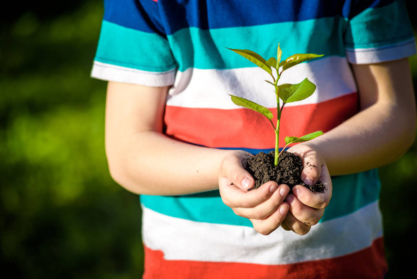 Two hands of the children are planting the seedlings into the soil. Kid boy hold in his hands new tree sprout. Earth day and ecology safe concept. - Photo, Image
