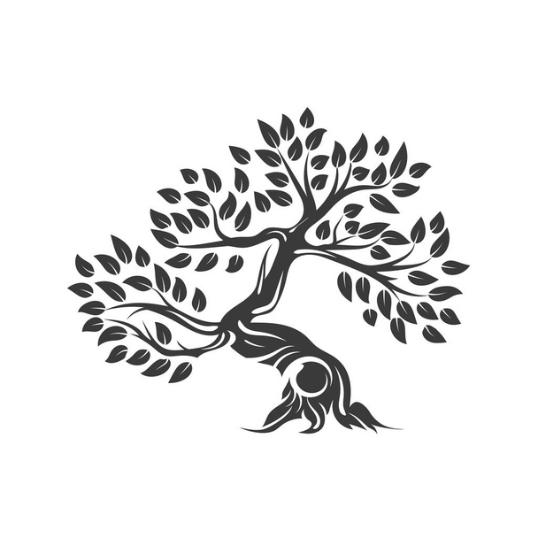 Biologische natuurlijke en gezonde olijfboom silhouet logo geïsoleerd op een witte achtergrond. Moderne vector groene plant pictogram teken ontwerpen illustraties. Premium kwaliteit olie product logo platte embleem illustratie. - Vector, afbeelding