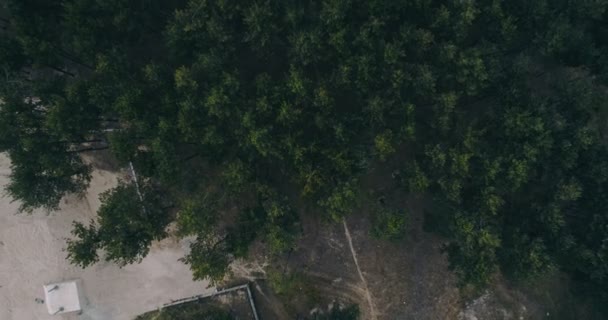 Luchtfoto schot met langzame beweging Over dennenbos naast kleine berg herenhuizen  - Video