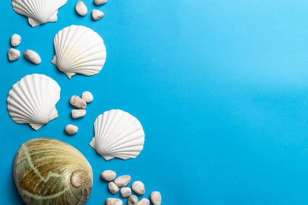 Photo rapprochée de coquillages blancs, pierres et coquillages d'ormeaux isolés sur fond bleu, espace de copie
 - Photo, image